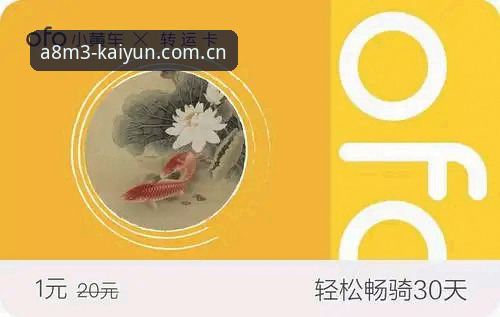 kaiyun体育平台互动体验完整指南：从注册到退出的实战操作详解